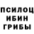 Псилоцибиновые грибы ЛСД Vjaceslavs Sencatskis