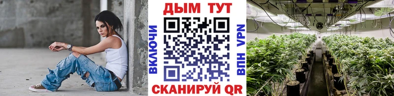 купить   Нижнекамск  Каннабис OG Kush 